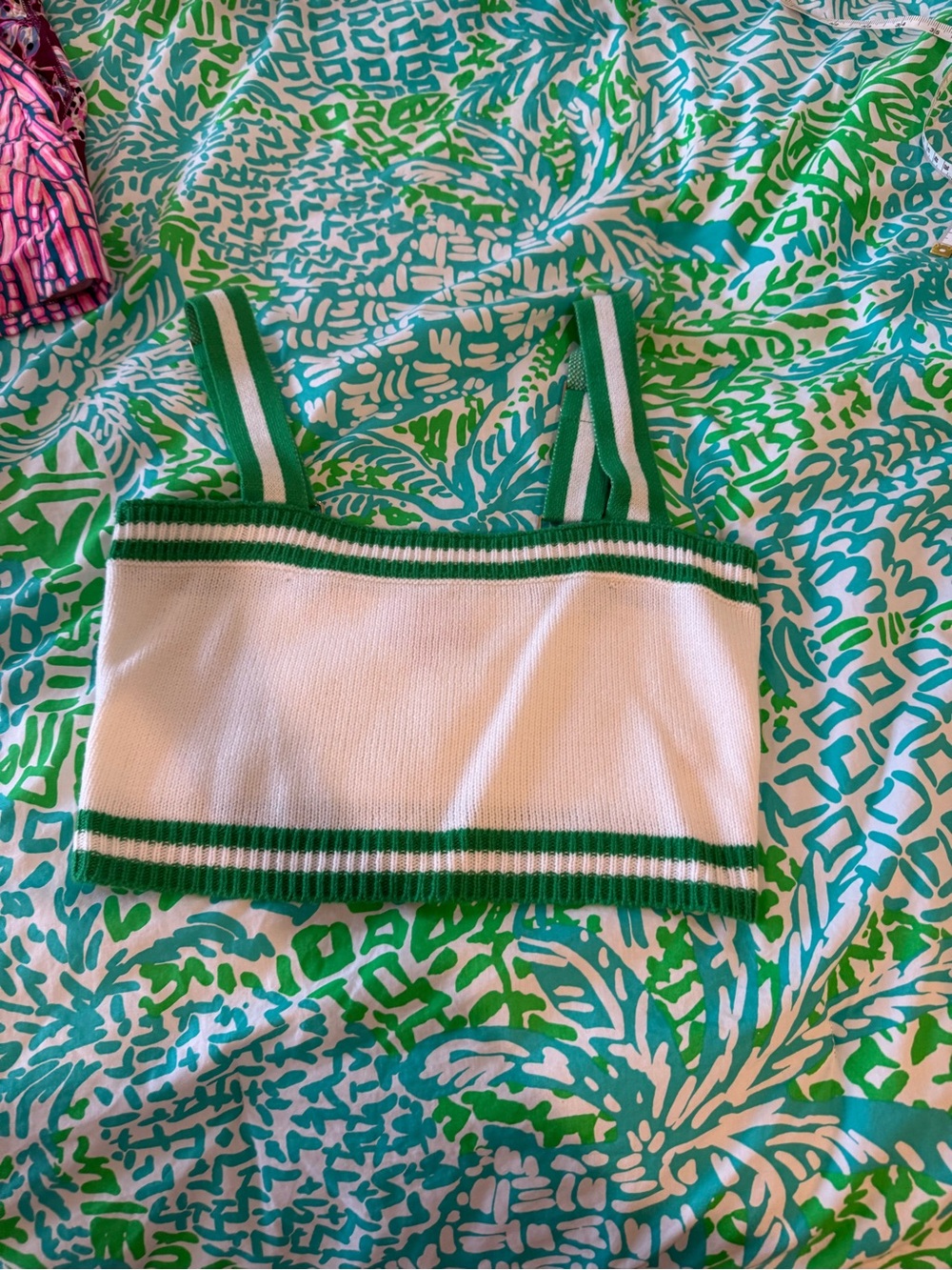 Show Me Your MuMu White Crop Tank with Green Stripes